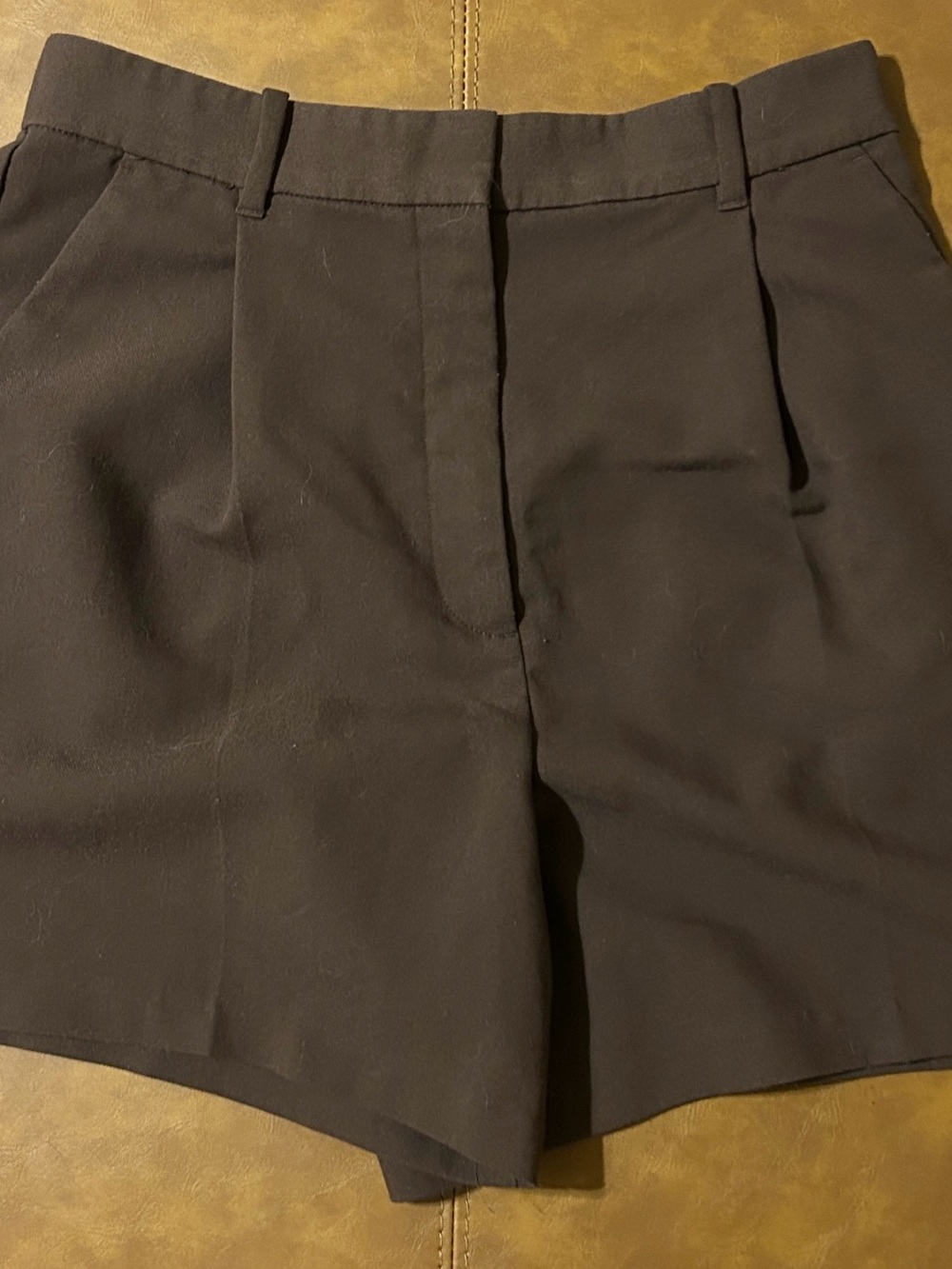 Brown High Waisted Pleated Sloane Shorts
